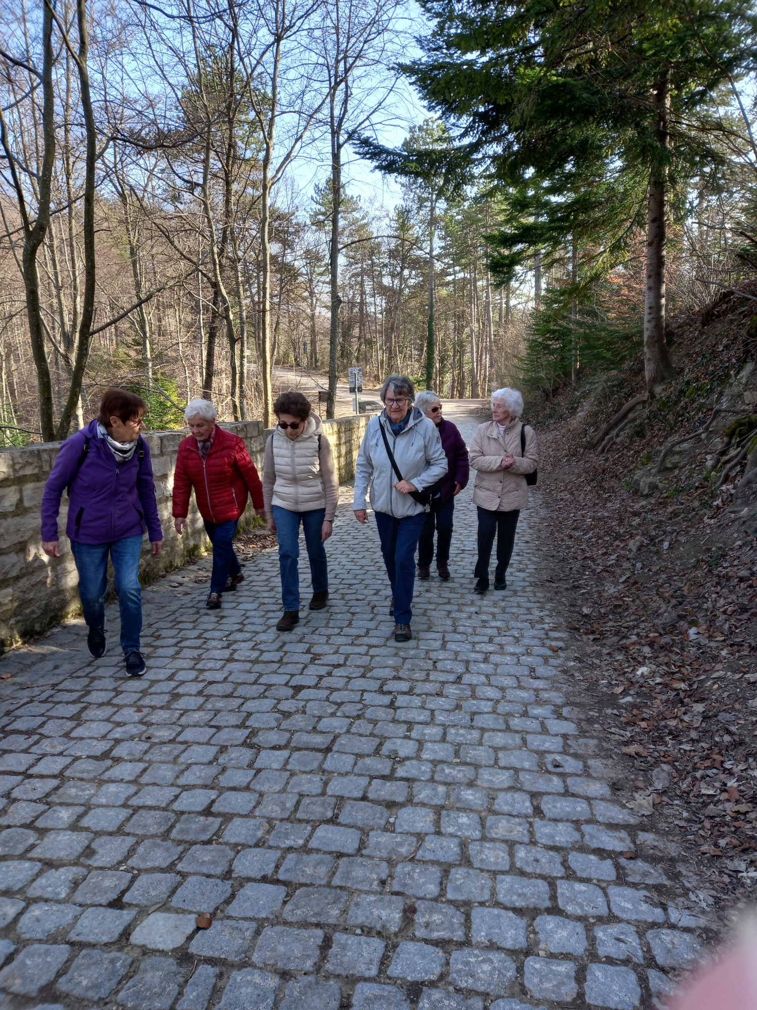 03-5.maerz-hohen-neuffen