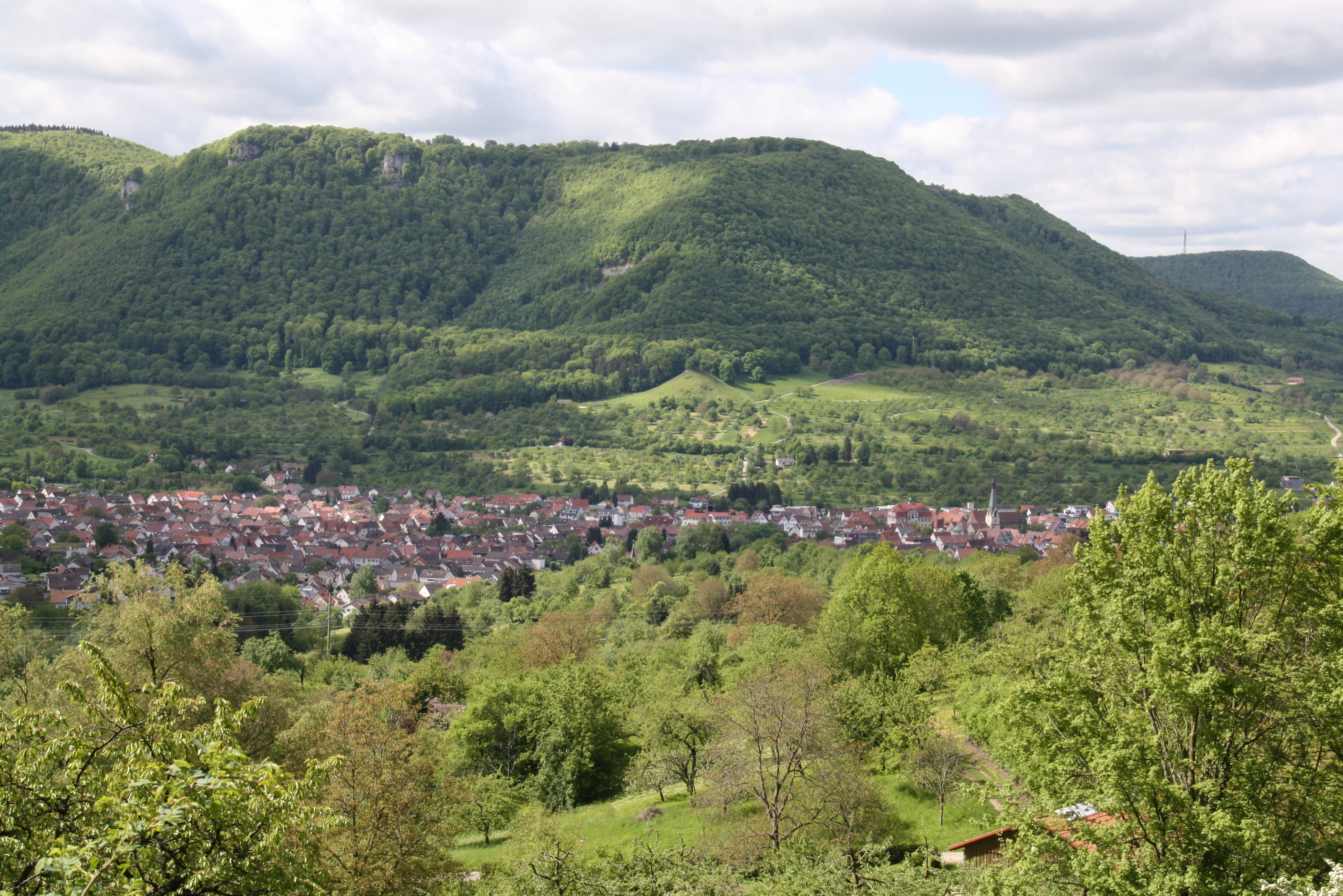 goldlandrunde-20.mai-2013-9