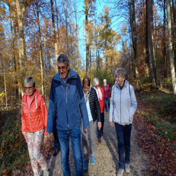 Senioren Wanderung