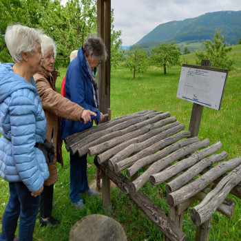Seniorenwanderung