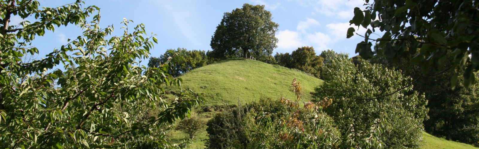 Calverbühl