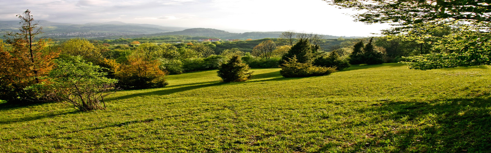 Naturschutzgebiet Goldland-Klausenberg