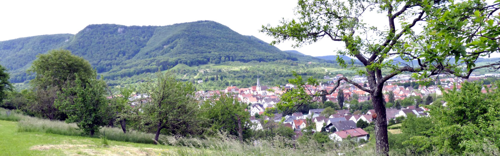 Blick auf Dettingen