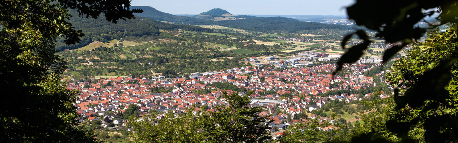 Blick auf Dettingen vom Gustav-Ströhmfeld-Weg
