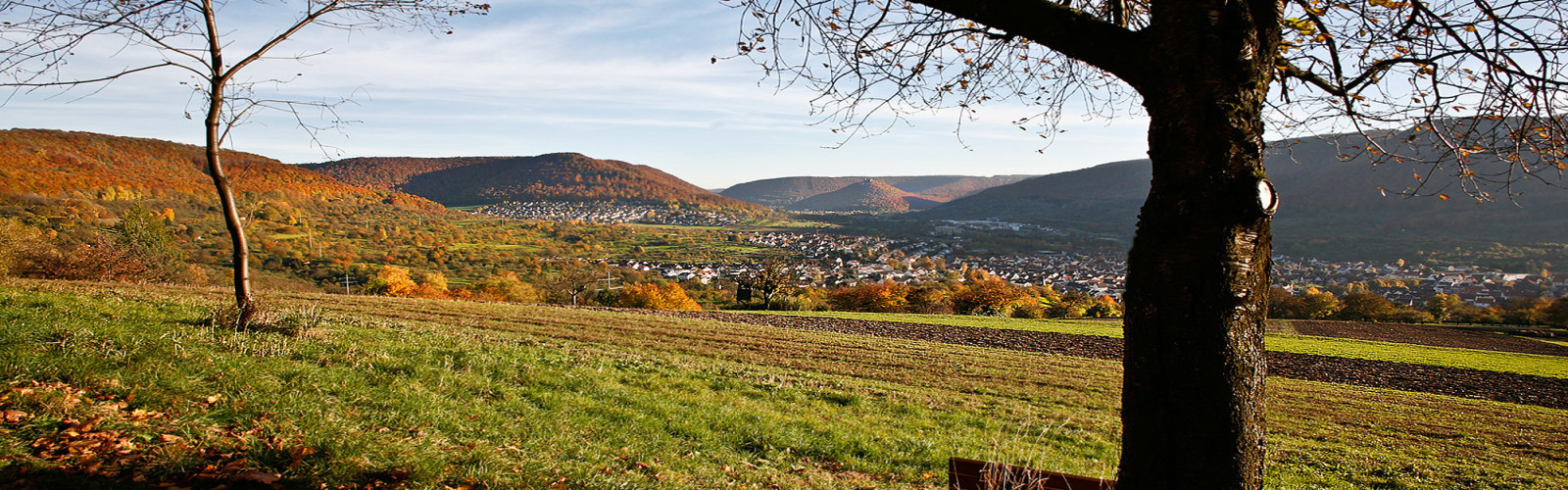 Blick von der Goldlandrunde auf Dettingen, D-Buchhalde, Hohenurach